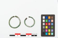 Foto von Bronzering (NHMW-PRAE-003485)